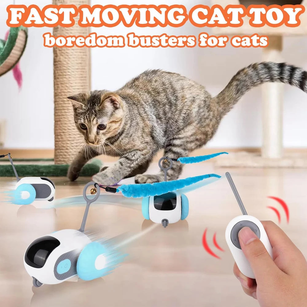 Cat playing with a fast-moving cat toy controlled by a remote
