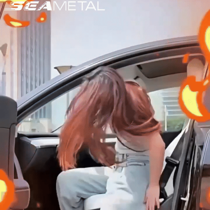 UV protection windshield cover