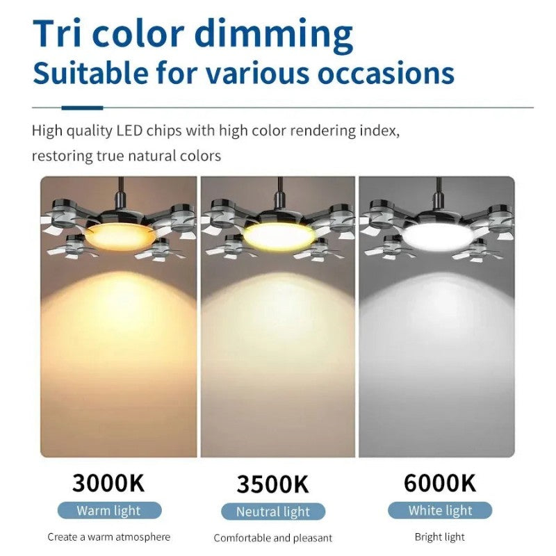 AeroGlow™ Ceiling Fan Light - Mag & Doudy