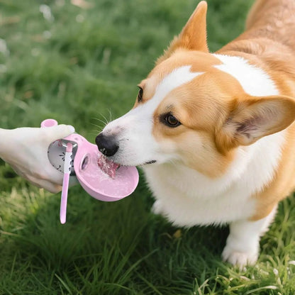 dog camping essentials