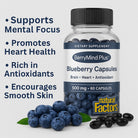 blueberry polyphenol capsules
