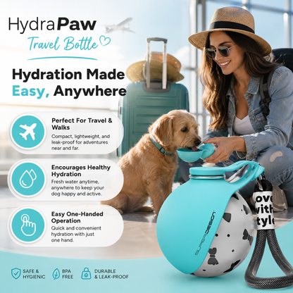 lightweight dog water bottle for travel and commuting