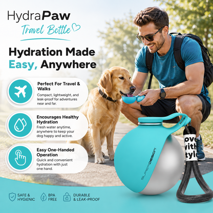 dog drinking water bottle outdoor hiking accessory