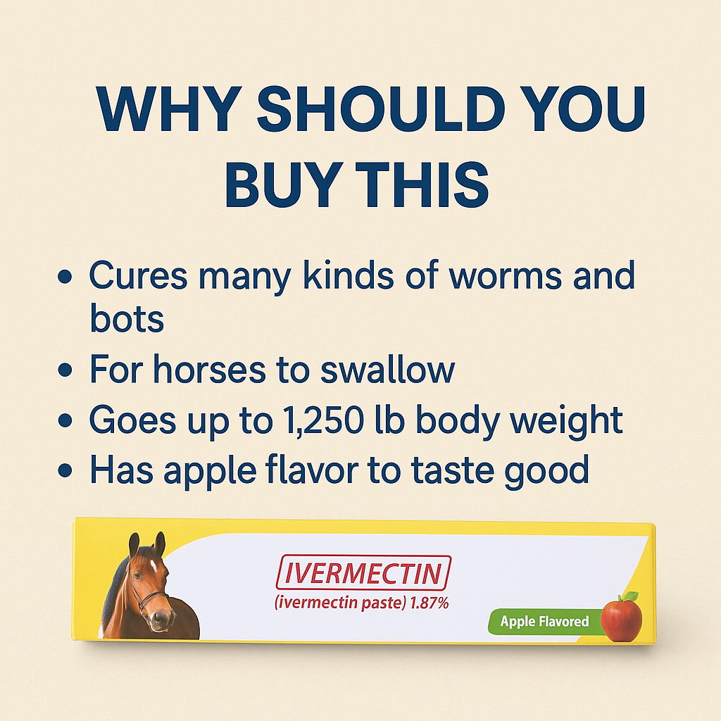 Equine deworming syringe