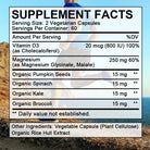 high absorption magnesium supplement