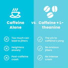 focus and energy mints