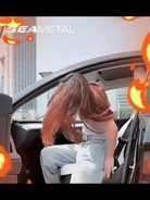 UV protection windshield cover