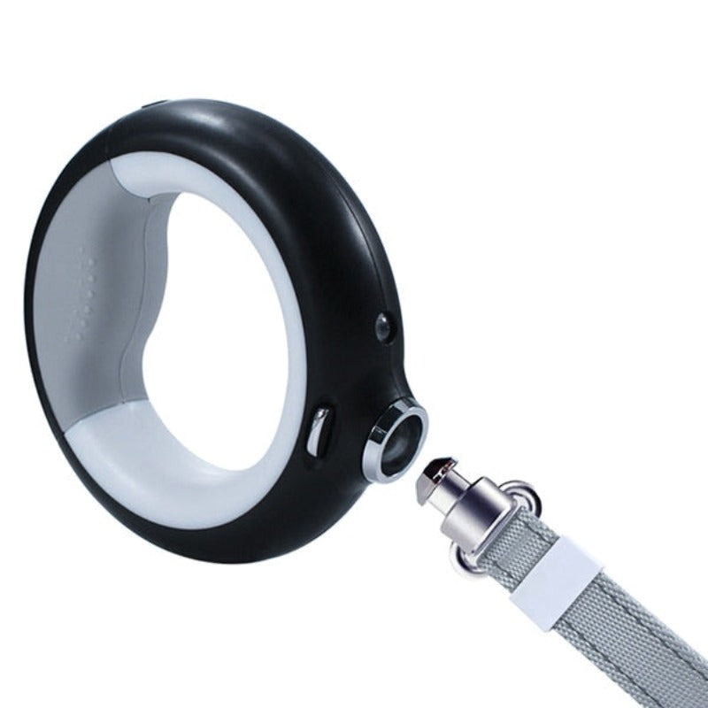 Cool Luminous Dog Leash - Mag & Doudy